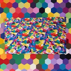 Hi Fashion Fabrics, Inc. Double Sided Vibrant Colored Floral Light Weight Blend
