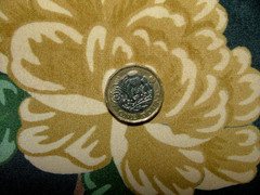 Velvet Fabric Curtain Upholstery Wagtail Bird Floral Slate Cushion 15 Metres