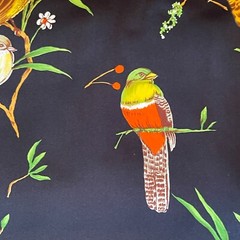 1+ Yard Black Fabric With Tropical Birds Leaves Satin Silky Gold Yellows Reds