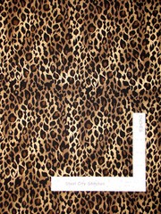 It’s A Jungle Leopard Spots Black Brown Cotton Fabric Choice Fabrics By The Yard