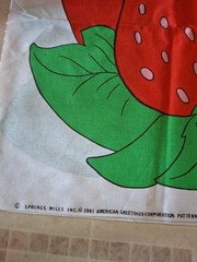Vintage 1981 Strawberry Shortcake Quilt Fabric Panel Large Springs Mills 5721