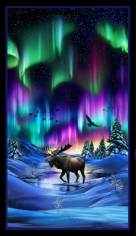 Moose, Black Northern Lights Quilt Panel 24In x 44 Elizabeth Studios