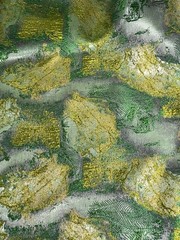 Green Silver Jacquard Metallic Brocade Fabric 58” Width By The Yard