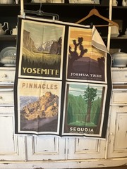 Riley Blake Designs, National Parks Fabric, 4 Panels Joshua Tree , Yosemite,