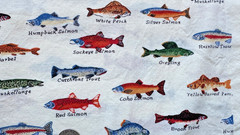 Vintage Fabric – Fish – Kaufman – 100% Cotton – Pre-Washed – 3/4 Yrd 29″ x 44″