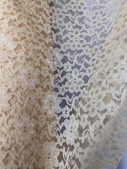 Champagne Sheer Mesh Floral Pattern Raschel Lace 58/60” Polyester Fabric By Yard