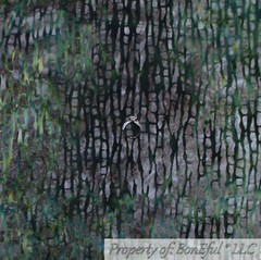 BonEful FABRIC FQ Cotton Quilt Brown Real Tree Bark Batik Pattern Print Bamboo