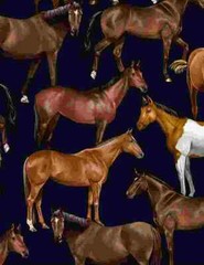 Fabric Horses Wild Mustangs on Navy Blue TIMELESS TREASURES Cotton 1/4 yard 8120