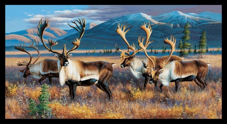 Elizabeth’s Studio Northen Nomads 7206E Black Caribou Panel