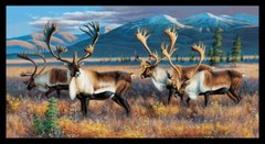 Elizabeth’s Studio Northen Nomads 7206E Black Caribou Panel