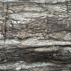 Paintbrush Studio Fabric Floral Vignette Wood Bark Tree Cotton Quilting 33 X 44