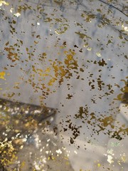 Holiday Fabric/Tablecloths 60×40 (2) 32×10 (1) Black Guaze Gold One Side Silver