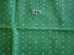 Marimekko MAIJA ISOLA ” MUIJA ” cotton fabric piece 137x67cm green x white