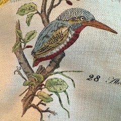 Garden Life Collection Birds By Textiles Vilber Fabric Screen Print 57×27 Spain