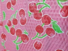 1 Yard 15 Inches CP30306 Sunny Fruit Small Toss Springs Creative Products 2009