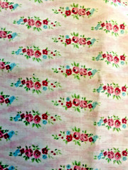 VTG Shabby Florals Pink & Blue Florals on Light Pink BTFQ