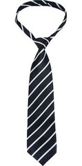 Scotchgard Fabric Water Shield, Water Repellent Spray For Spring And Summer And