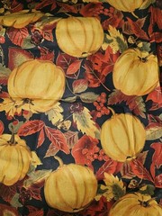 Lot Of 5 Pieces Of Mixed Patterns Fall Themed Cotton Fabric & 70 X 6.5″ Squares