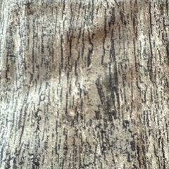 England Design Studios Tree Bark II Cotton Fat Quarters Lot of 4 18″ x 22″