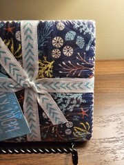 NIP Lily & Loom High Seas Collection Charm Pack Fabric 42 Pieces 5×5 Inches