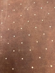 Persimmon Dyed Polka Dot Homespun Fabric by the Half Yard