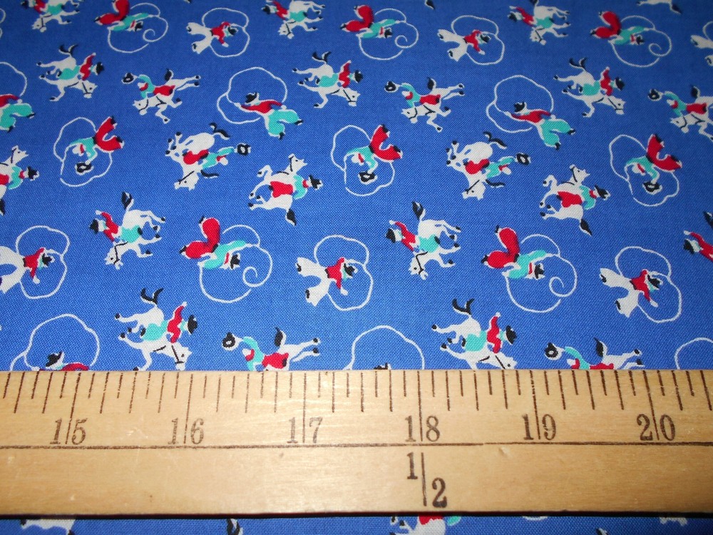 1 yard Lasso Cowboys Fabric