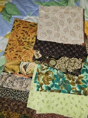 Lot Of 5 Pieces Of Mixed Patterns Fall Themed Cotton Fabric & 70 X 6.5″ Squares