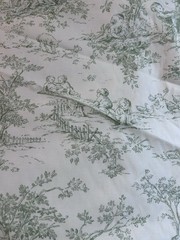 P Kaufmann Green Central Park Nursery Toile Fabric 54”Wide 2.5 Yds Out Of Print