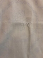Fabric Light Green Tablecloth 52 X 52 With Some Floss needs done