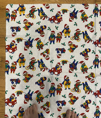 “ Fun Zone” Fabric by Hoffman International Fabrics