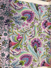 1/2 Yard Bundle of Tula Pink Free Spirit Roar fabrics (retired) 8 half yards