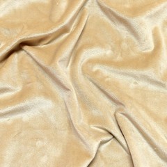 DIYLITTLE Champagne Minky Fabric, Super Soft Short Pile Plush, 2 Yards | Mult…