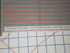 2 Coordinating Cover Story by Thimbleberries 2007 RJR Fabrics both cuts 23.5 L