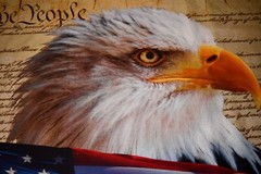 David Textiles DX-4234-3C-1 Eagle and Constitution Panel Cotton 36″ x 45″