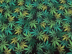 Marijuana Print Home Decor Cotton Fabric 57″ Wide Cannibus Leaf Green Yellow