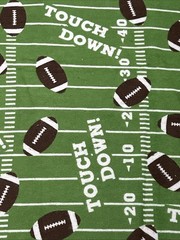 JoAnn Snuggle Flannel Fabric 2 Yards Football Touch Down NEW