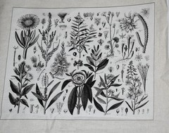 Andover Fabrics Cotton Fabric Panel Floral Botanical Quilt Blocks HTF OOP