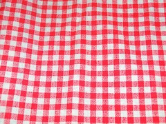 Gingham Print Fabric Coral Pink 3 YDS 58″ X 108″