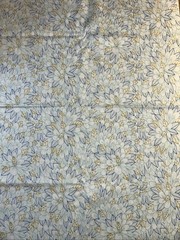 Cloud 9 Collective Lisa Congdon 1/2 Yard Flowers Organic Cotton Fabric