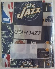 Sport Teams Fabric Lot NBA College Football Hockey Yards Remnant Craft Project