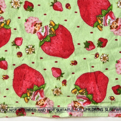 VTG Strawberry Shortcake Those Characters From Cleveland 2003 Flannel Green BTY