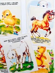 Vintage Retro Farm Animals 50’s Kitsch Craft Quilt Cotton Fabric Panels