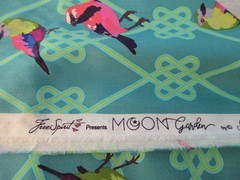 Tula Pink Cotton Fabric 1 Fat Quarter Moon Garden In a Finch 18″ x 21