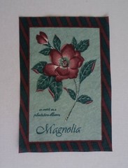 Fabric Cotton Square – Picture Size 4″ x 6 1/4″ of Dark Pink Magnolia Blossoms