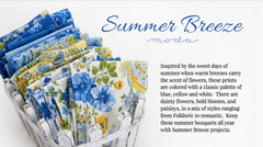 Summer Breeze 33614 11 Multi Paisley Moda