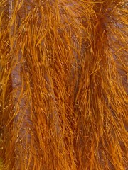 Orange Feather tinsel on mesh fabric per yard 60″ wide