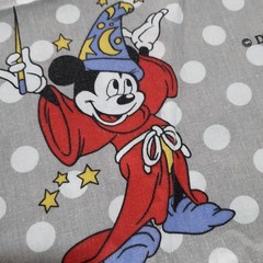 Rare Disney Vintage Duvet Cover Single Side