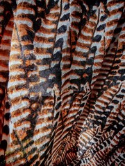 120cm*300cm Textured Cotton Fabric with Bold Animal Print