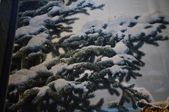 Winter Vigil Great Horned Owl Fabric Panel Cotton 36 inches X 45 inches