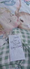 Crib Quilt Panels + More. Lot 1 Humpty Dumpty. Cow Over The Moon.